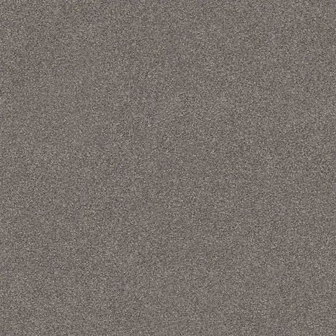 Mushroom Stipple carpet swatch